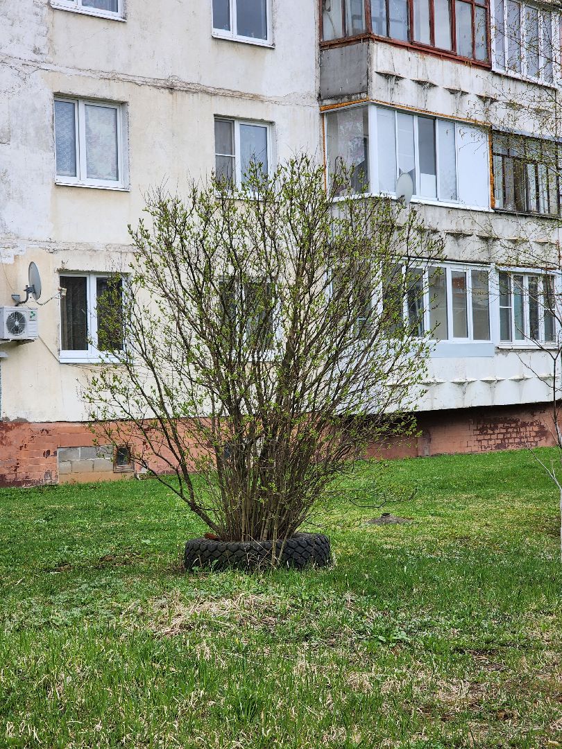 голосование, голосование 2024, голосование за благоустройство, тучково, сквер, руза, рузский городской округ,