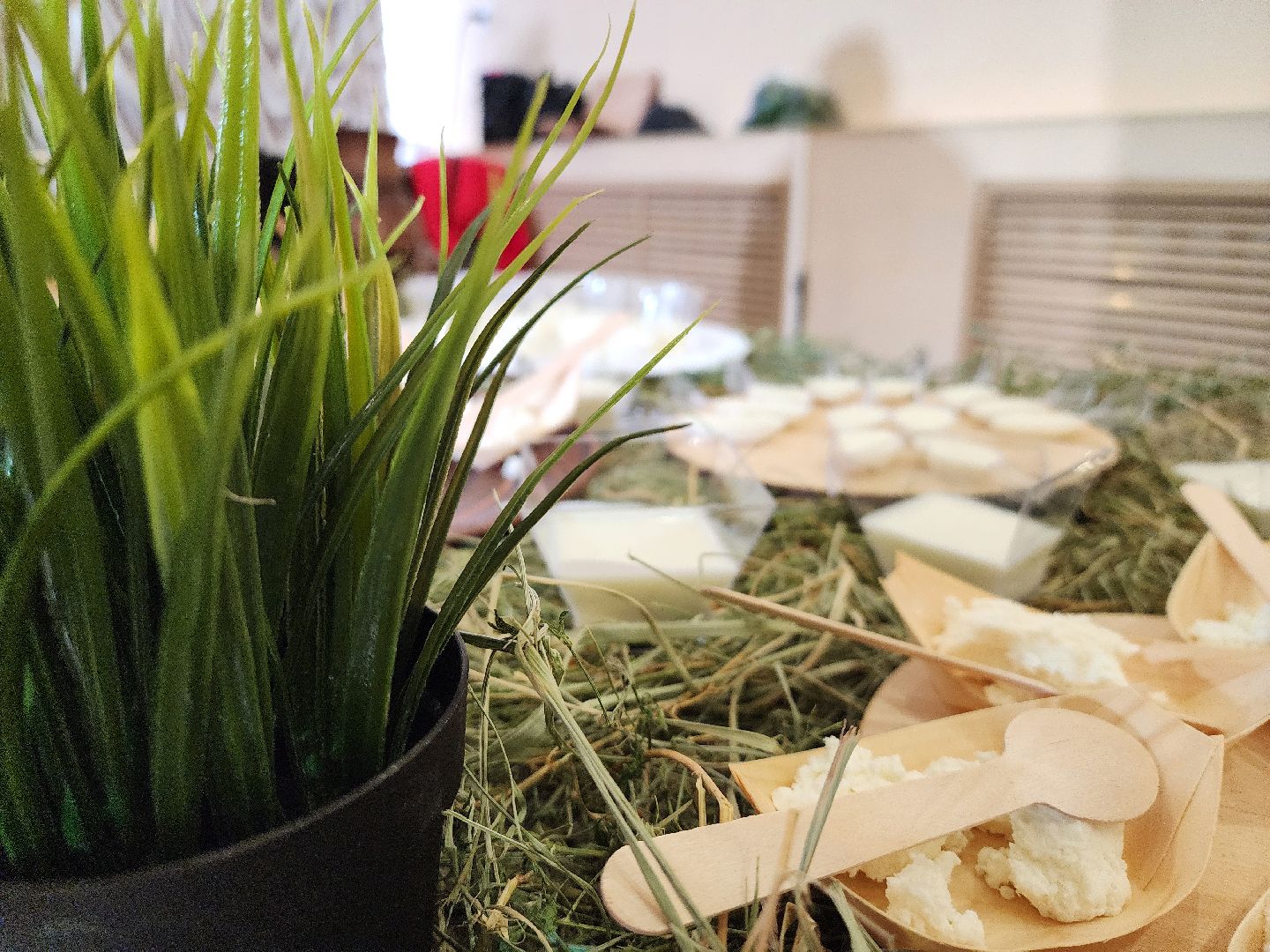 воскресенск, праздник труда, жители, работники,