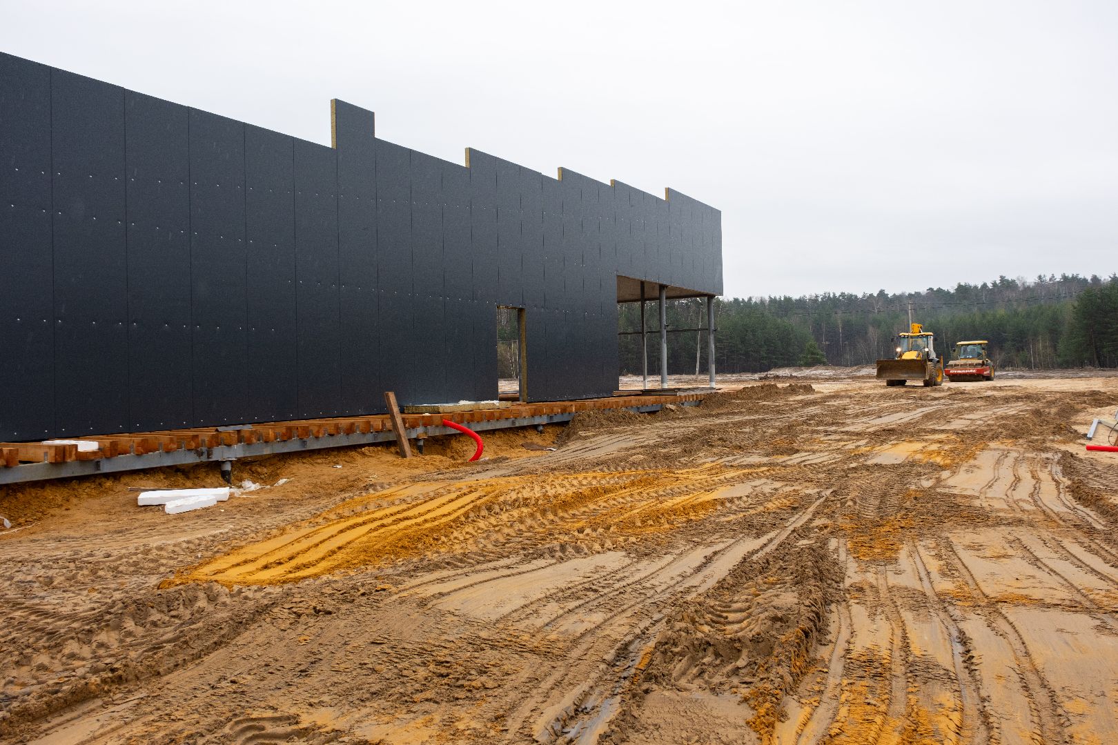 лыткарино, благоустройство, волкуша, лесопарк,