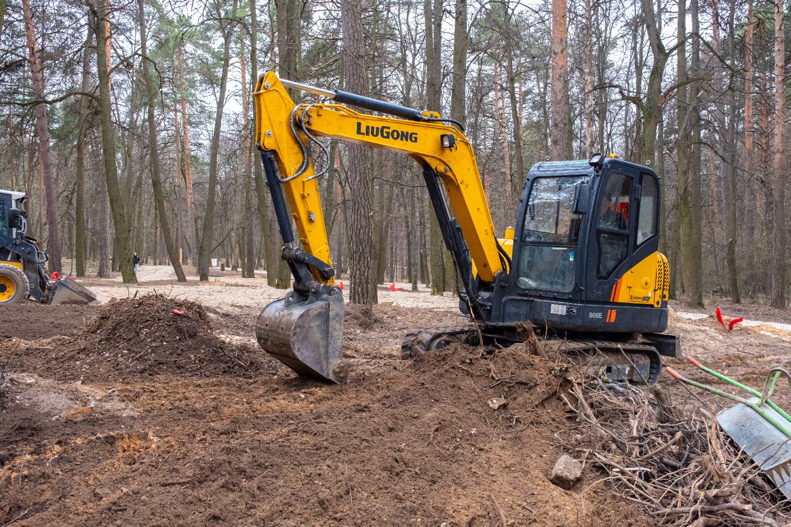 лыткарино, благоустройство, волкуша, лесопарк,