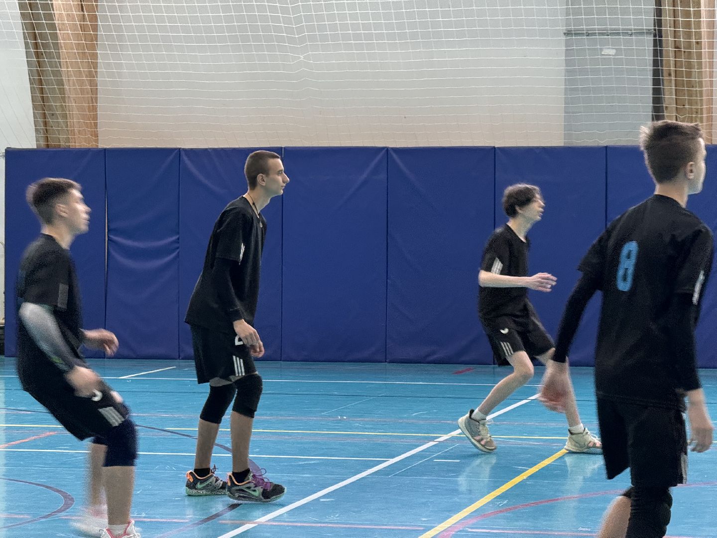 шаховская, волейбол, турнир, спорт,