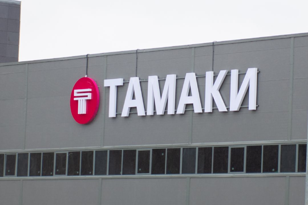 лыткарино, индустриальный парк