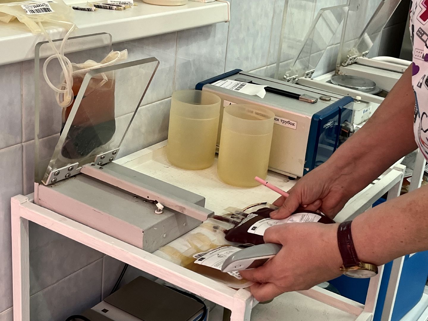 наро-фоминск,национальный день донора, почетный донор рф, наро-фоминская областная больница, отделение переливания крови,