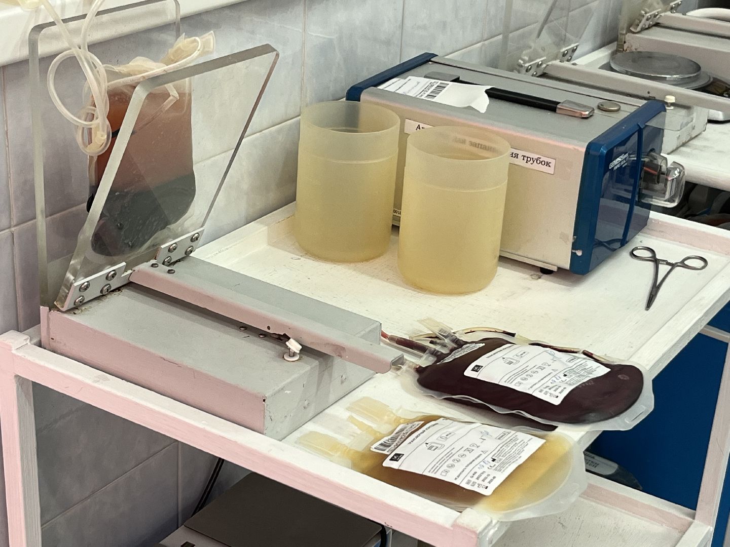 наро-фоминск,национальный день донора, почетный донор рф, наро-фоминская областная больница, отделение переливания крови,