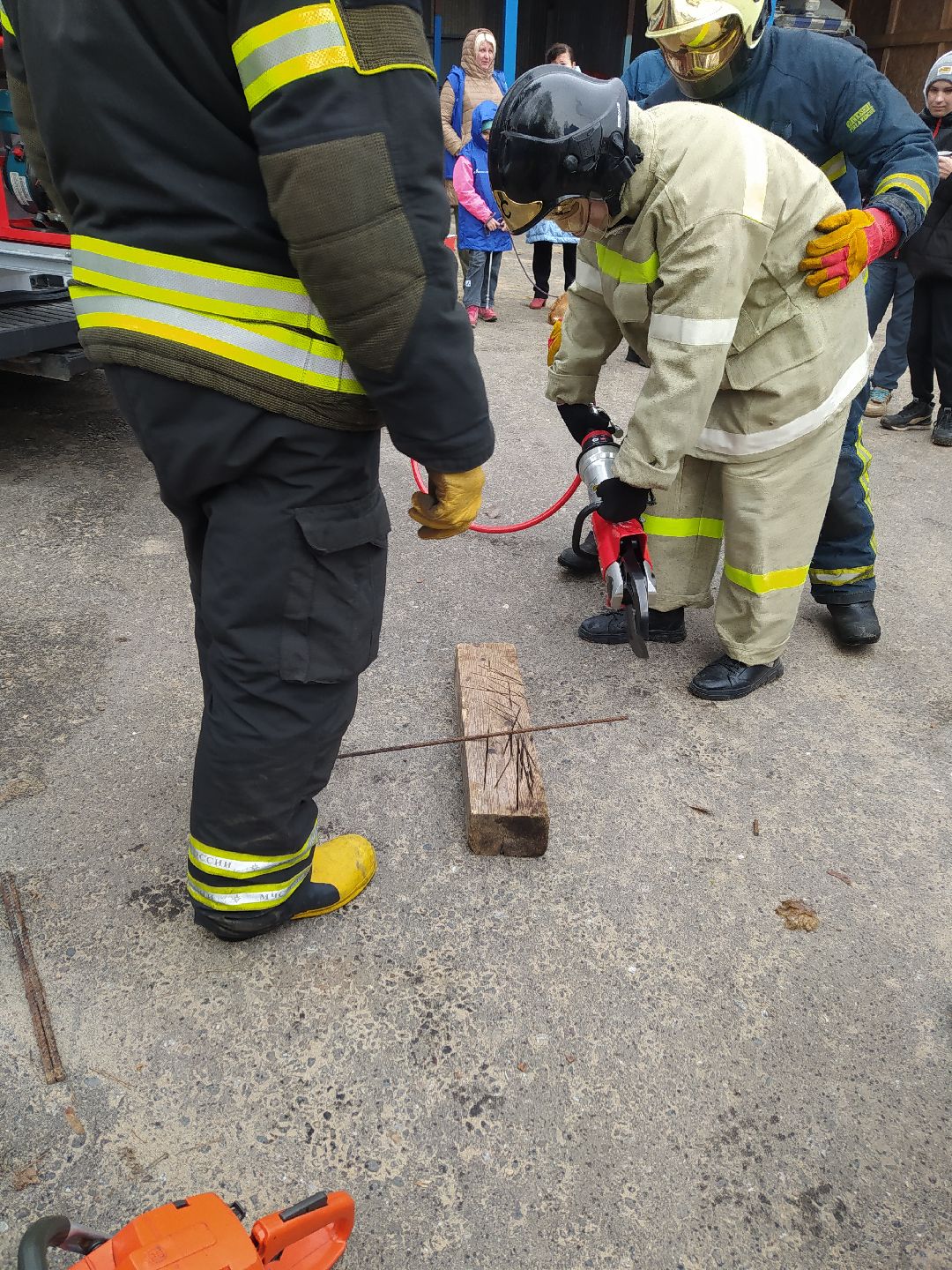 открытый урок, корги, спасатели, Щёлково