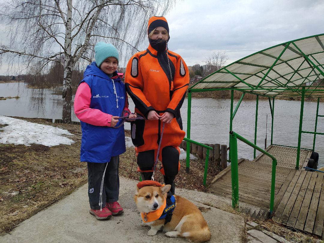 открытый урок, корги, спасатели, Щёлково