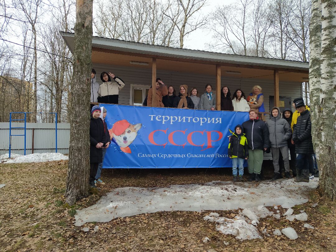 открытый урок, корги, спасатели, Щёлково