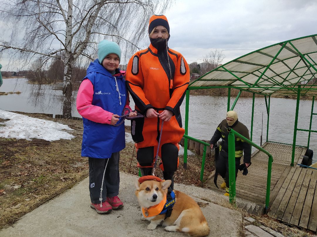 открытый урок, корги, спасатели, Щёлково