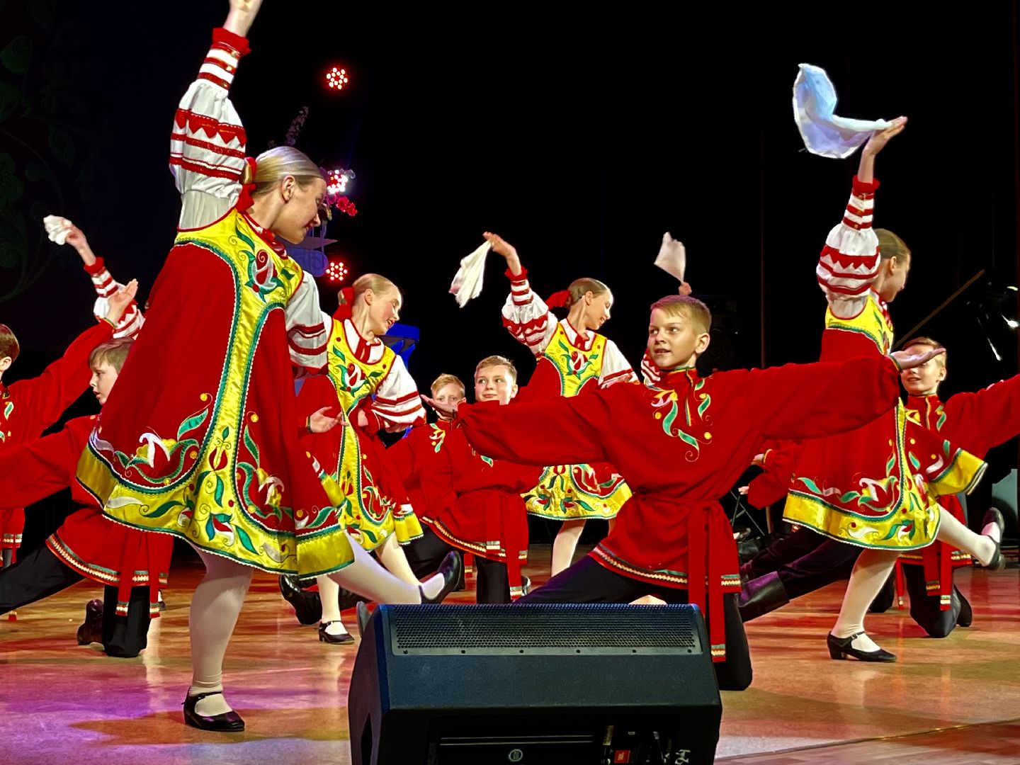 День труда Московской области, наро-фоминск, цдк звезда, роман шамнэ, денис майданов,год семьи,