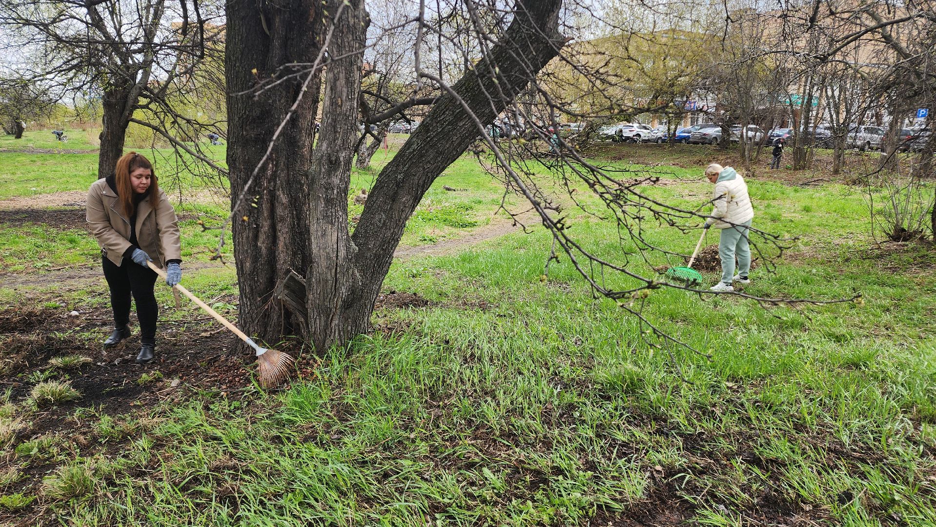 Реутов, субботник, чистый город, грабли, лопаты, листва, мусор,