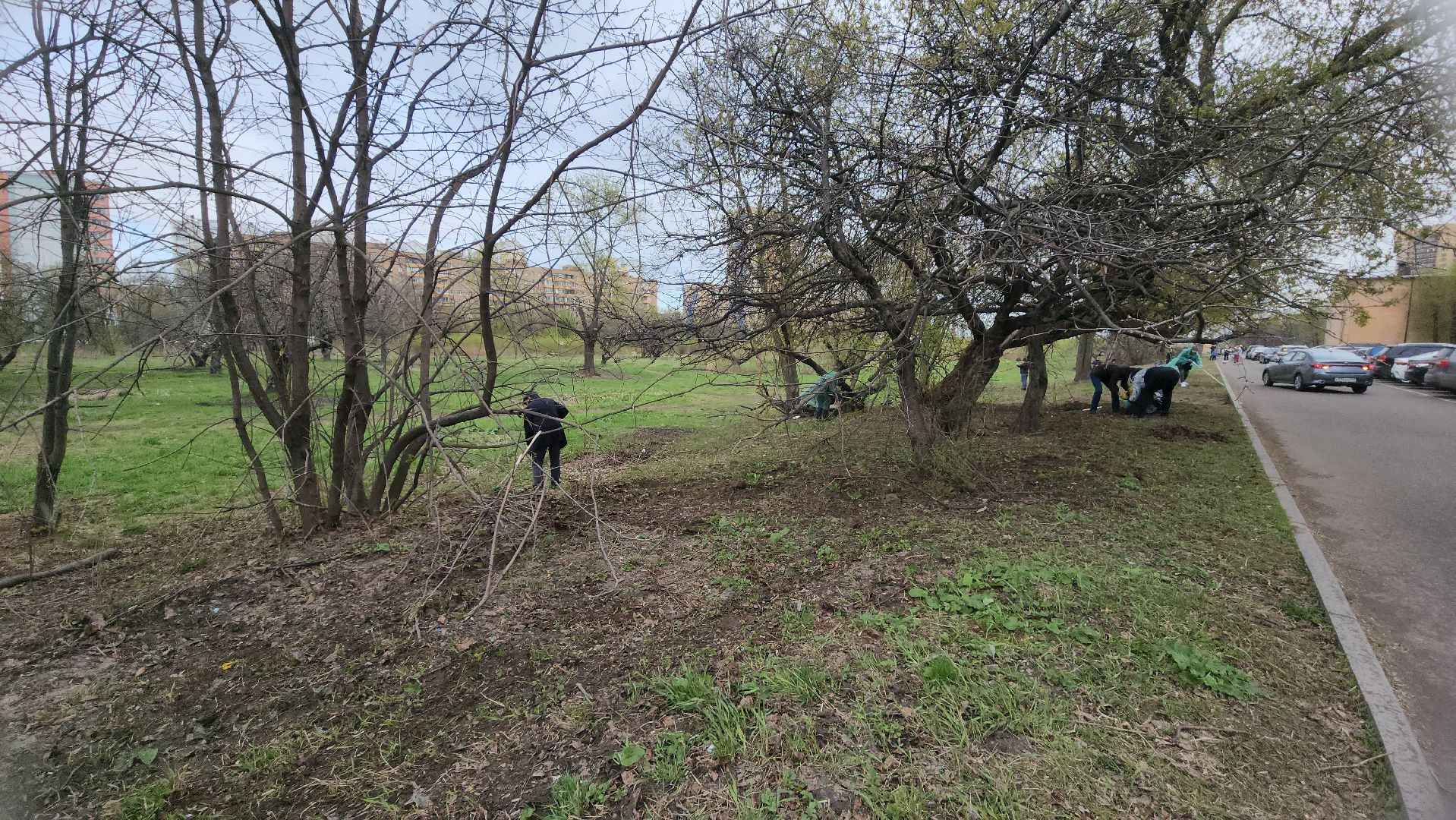 Реутов, субботник, чистый город, грабли, лопаты, листва, мусор,