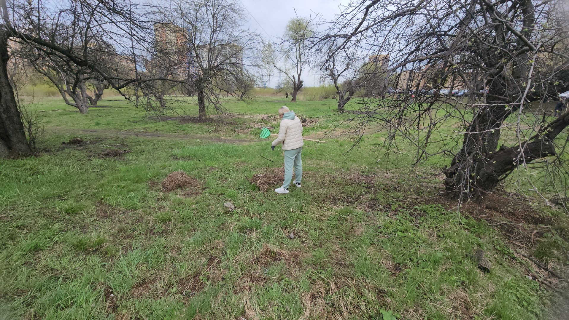 Реутов, субботник, чистый город, грабли, лопаты, листва, мусор,