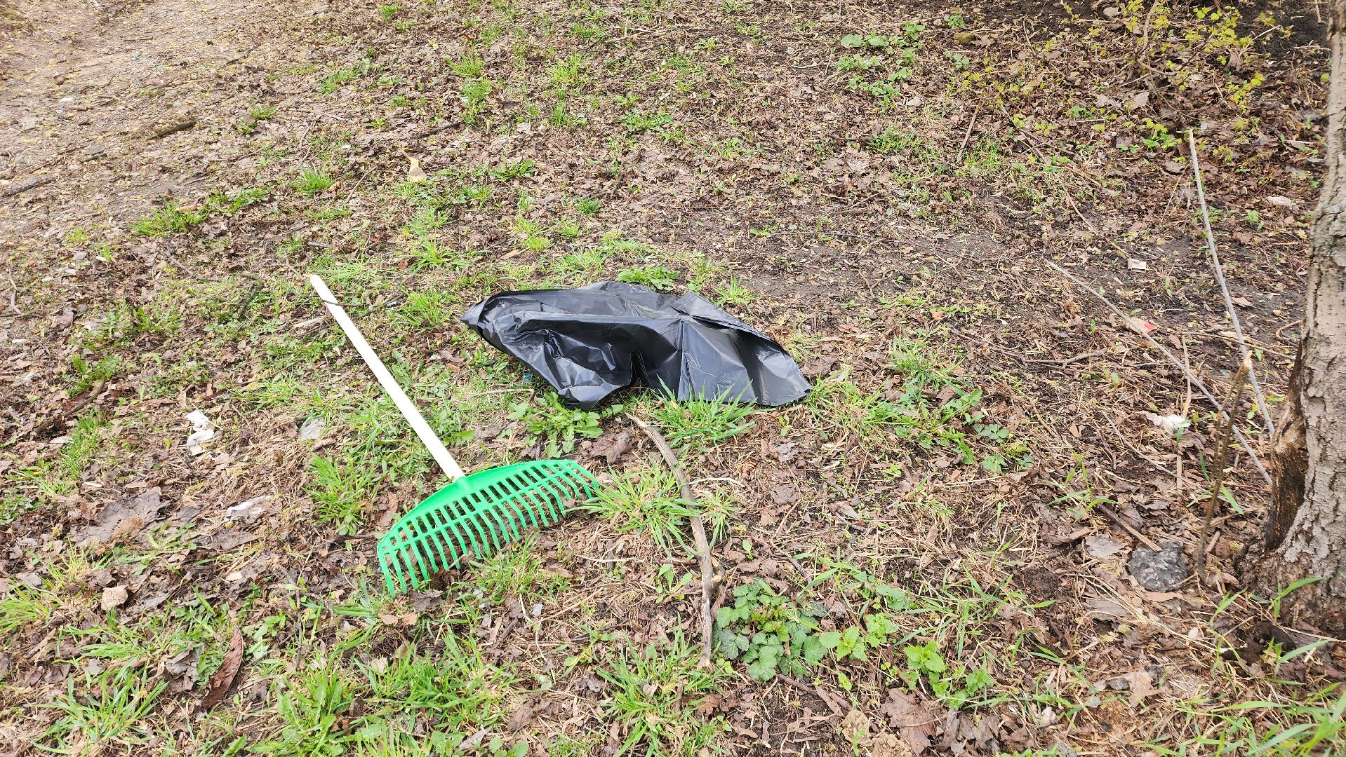 Реутов, субботник, чистый город, грабли, лопаты, листва, мусор,