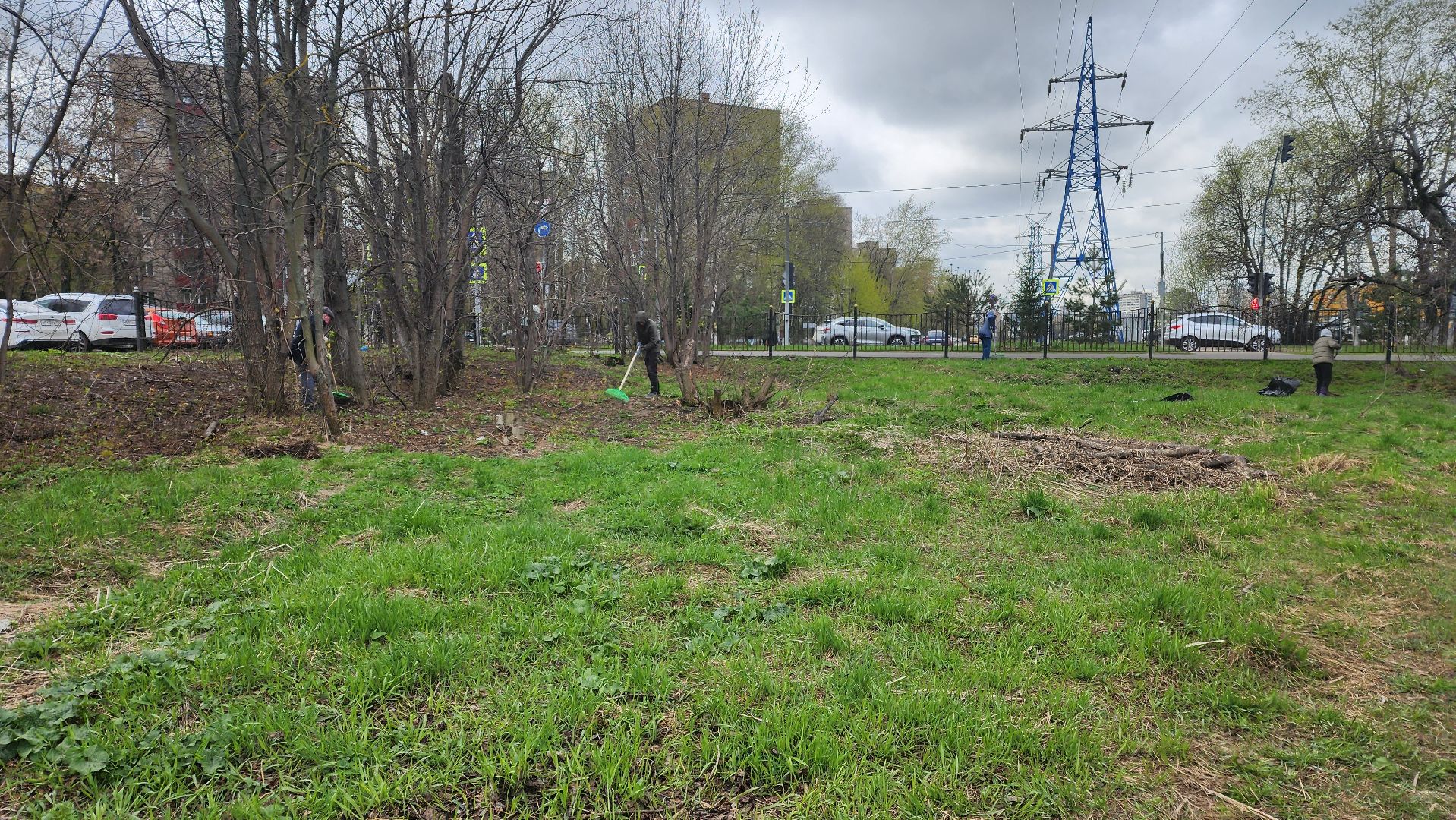 Реутов, субботник, чистый город, грабли, лопаты, листва, мусор,