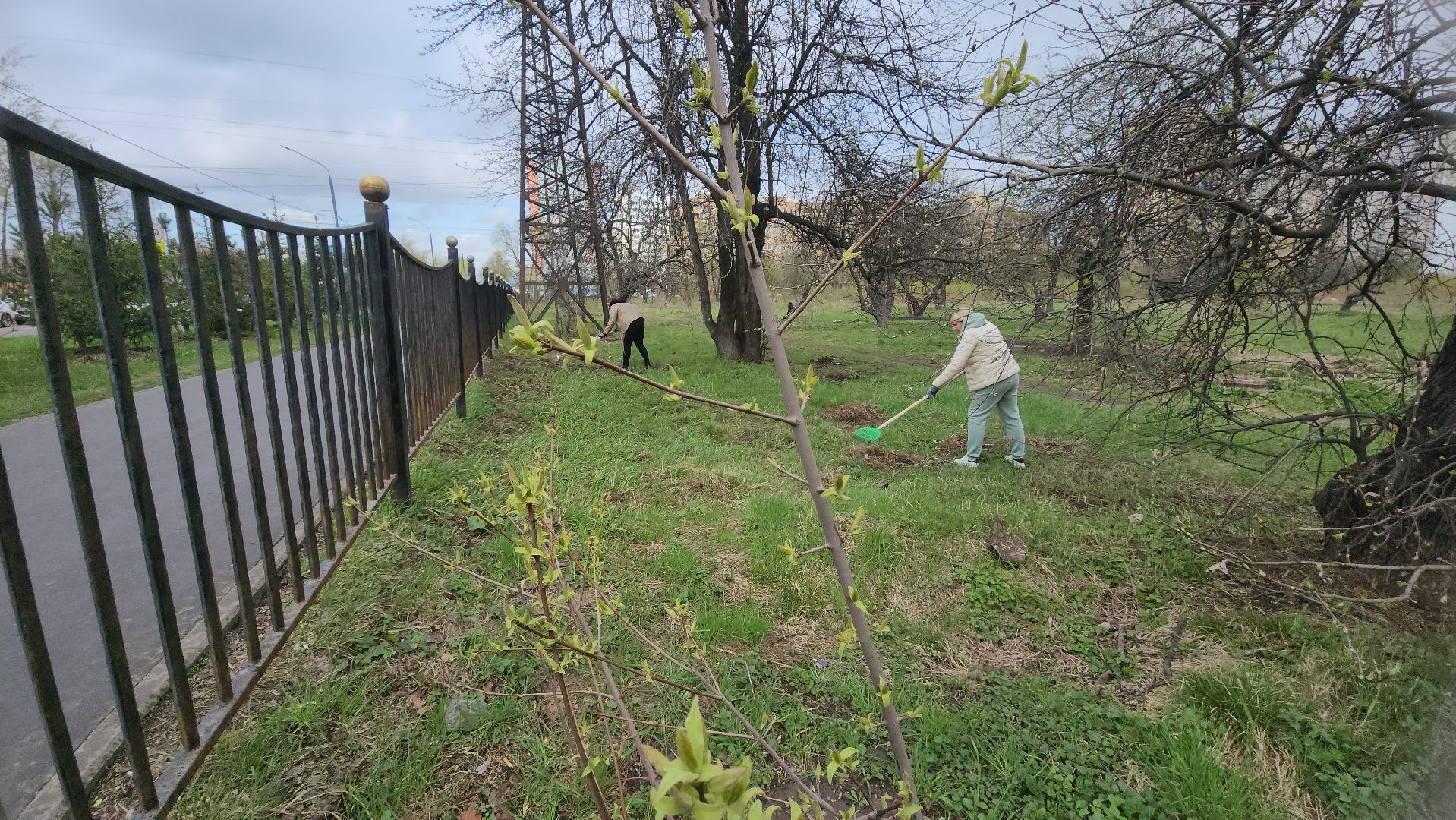 Реутов, субботник, чистый город, грабли, лопаты, листва, мусор,