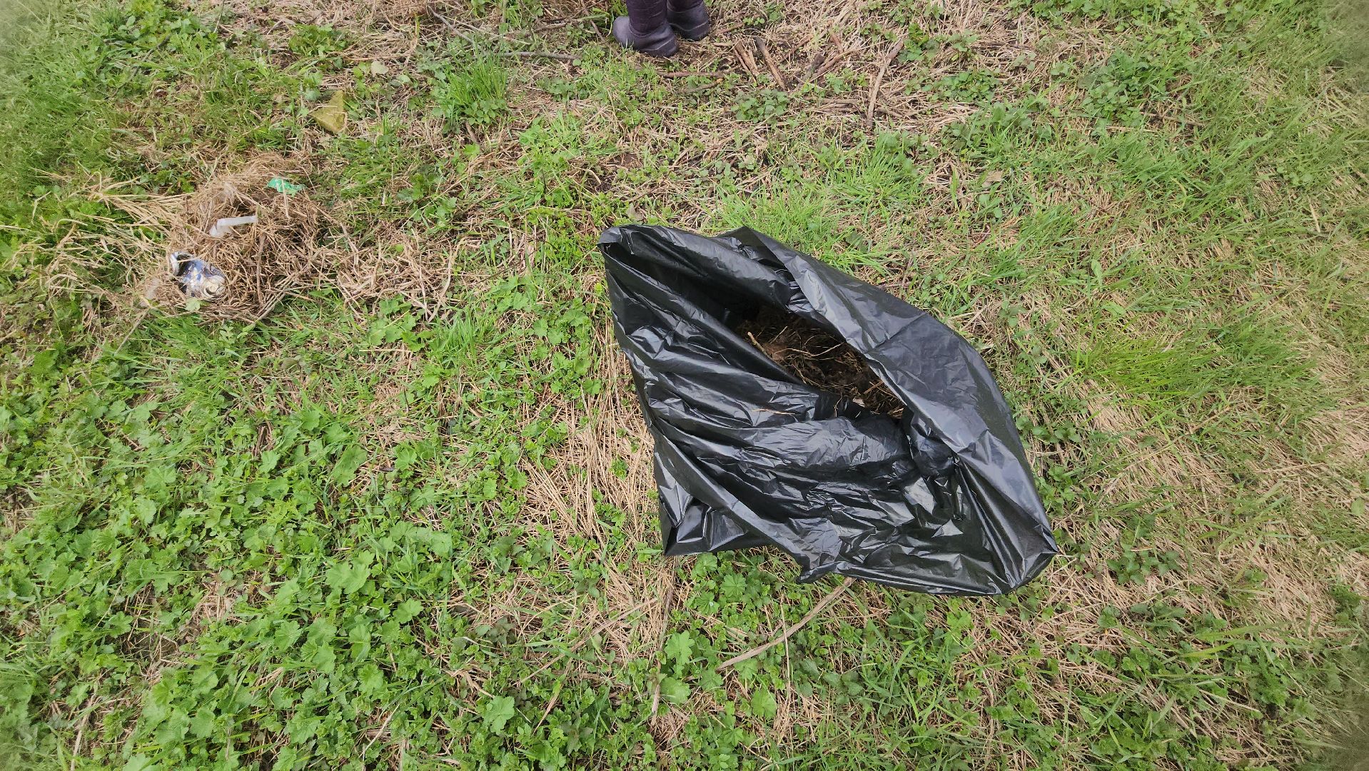 Реутов, субботник, чистый город, грабли, лопаты, листва, мусор,