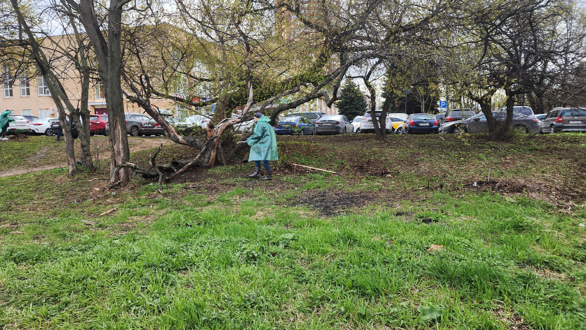 Реутов, субботник, чистый город, грабли, лопаты, листва, мусор,