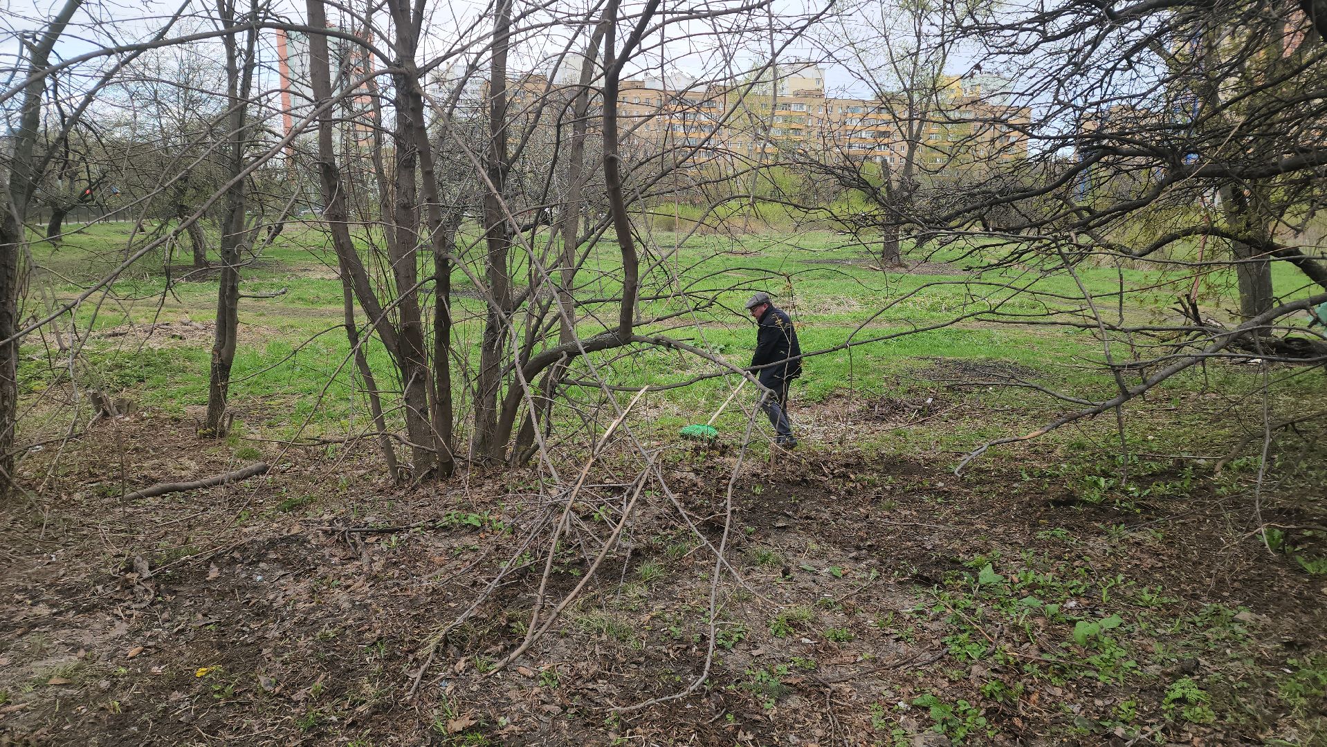 Реутов, субботник, чистый город, грабли, лопаты, листва, мусор,