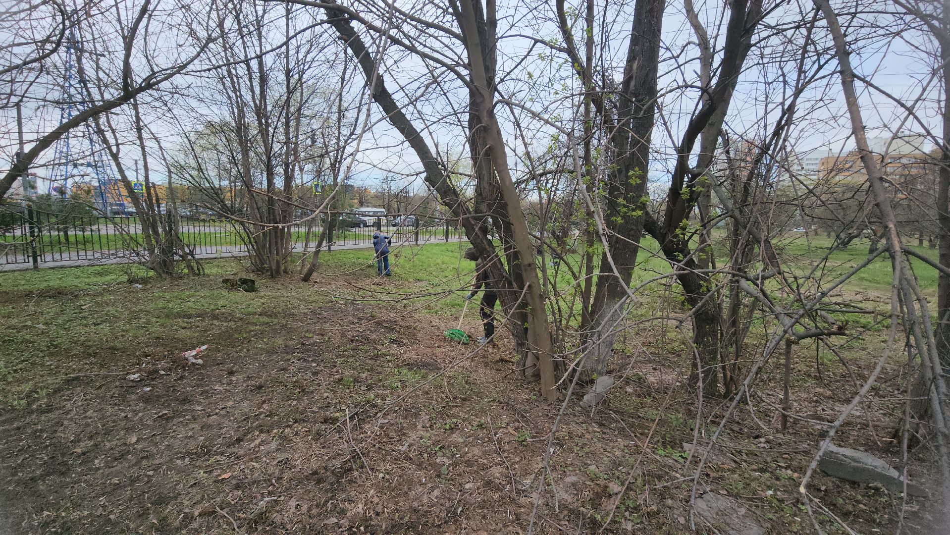 Реутов, субботник, чистый город, грабли, лопаты, листва, мусор,