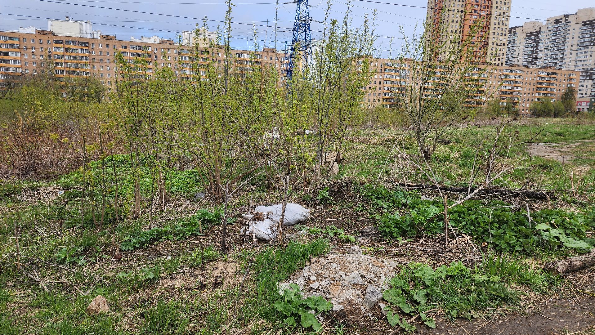 Реутов, субботник, чистый город, грабли, лопаты, листва, мусор,