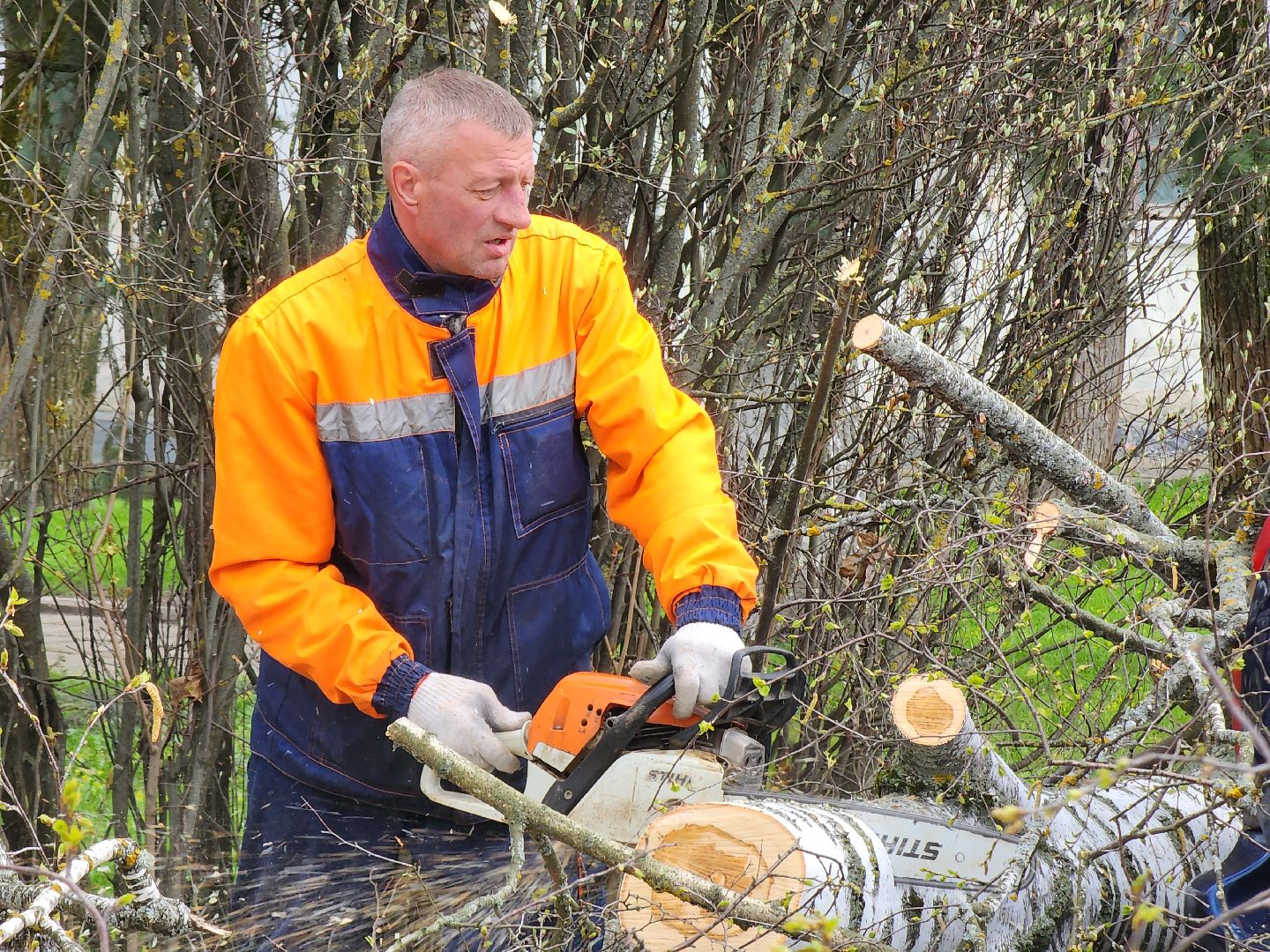 Шторм, Штормовое предупреждение, ветер, последствия стихии, последствия непогоды, руза, рузский городской округ, благоустройство,