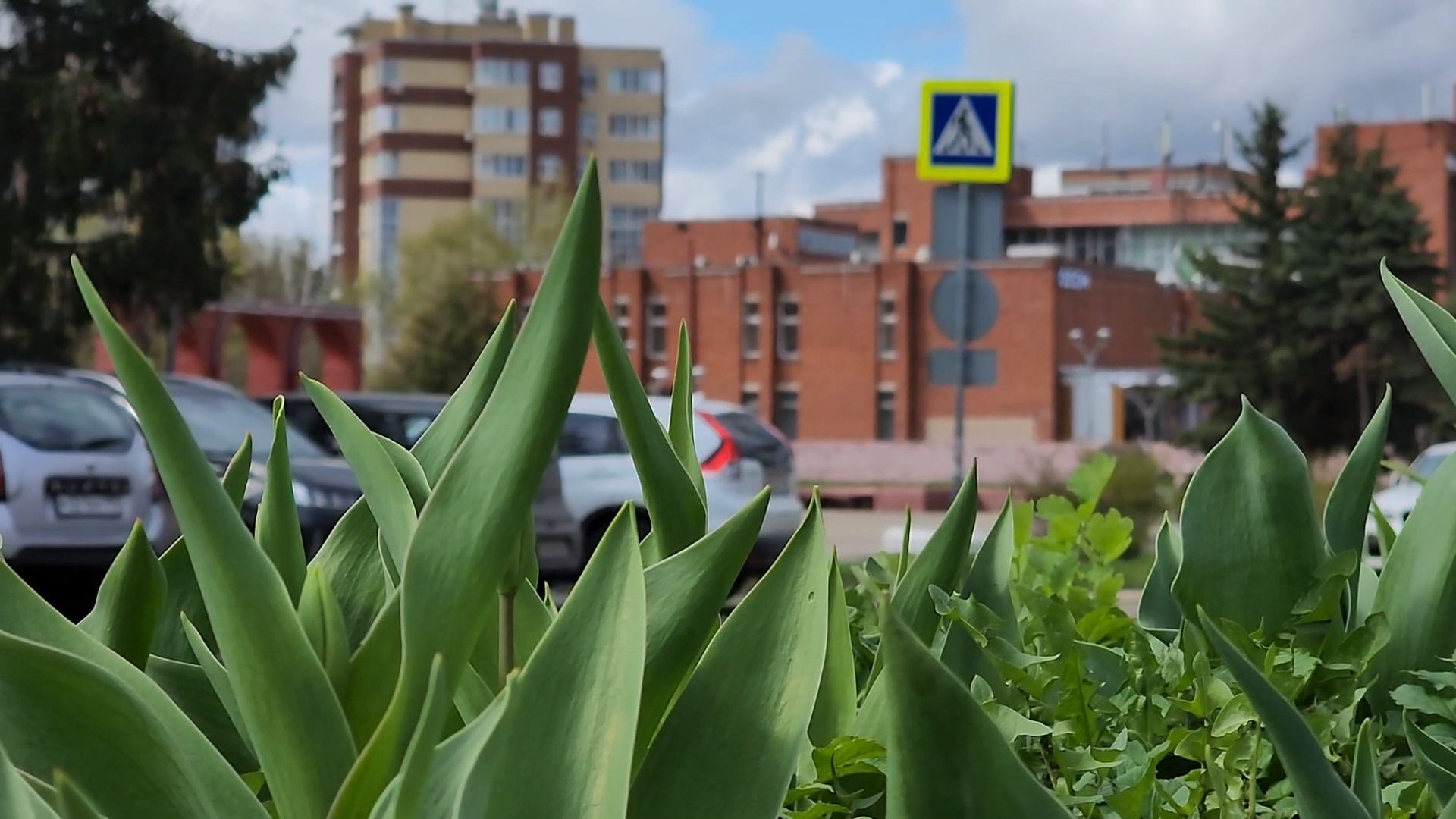 одинцово, заречье, благоустройство,