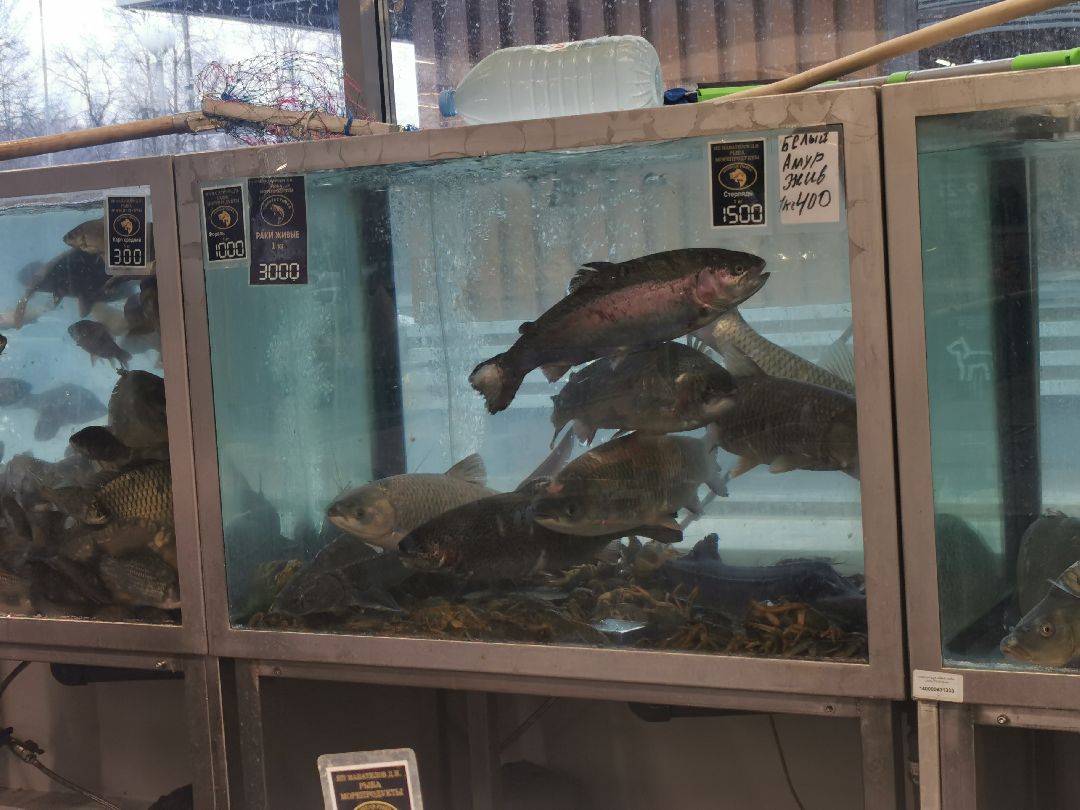 Подольск, экопункт