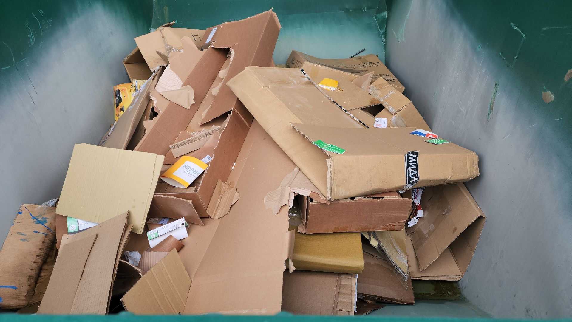 красногорск, мегабак, раздельный сбор отходов, экология,