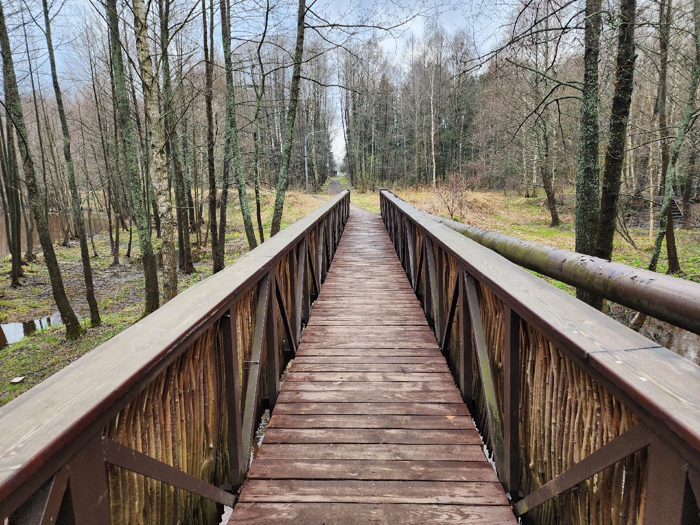 Черноголовка, общество, Грант, культура, благоустройство,
