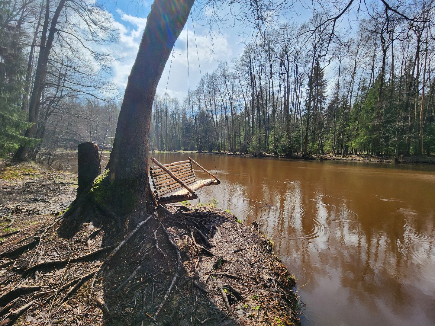Черноголовка, общество, Грант, культура, благоустройство,