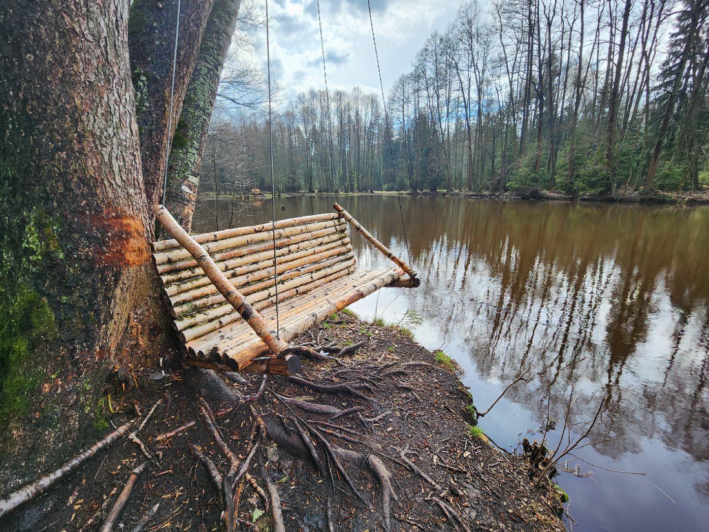 Черноголовка, общество, Грант, культура, благоустройство,