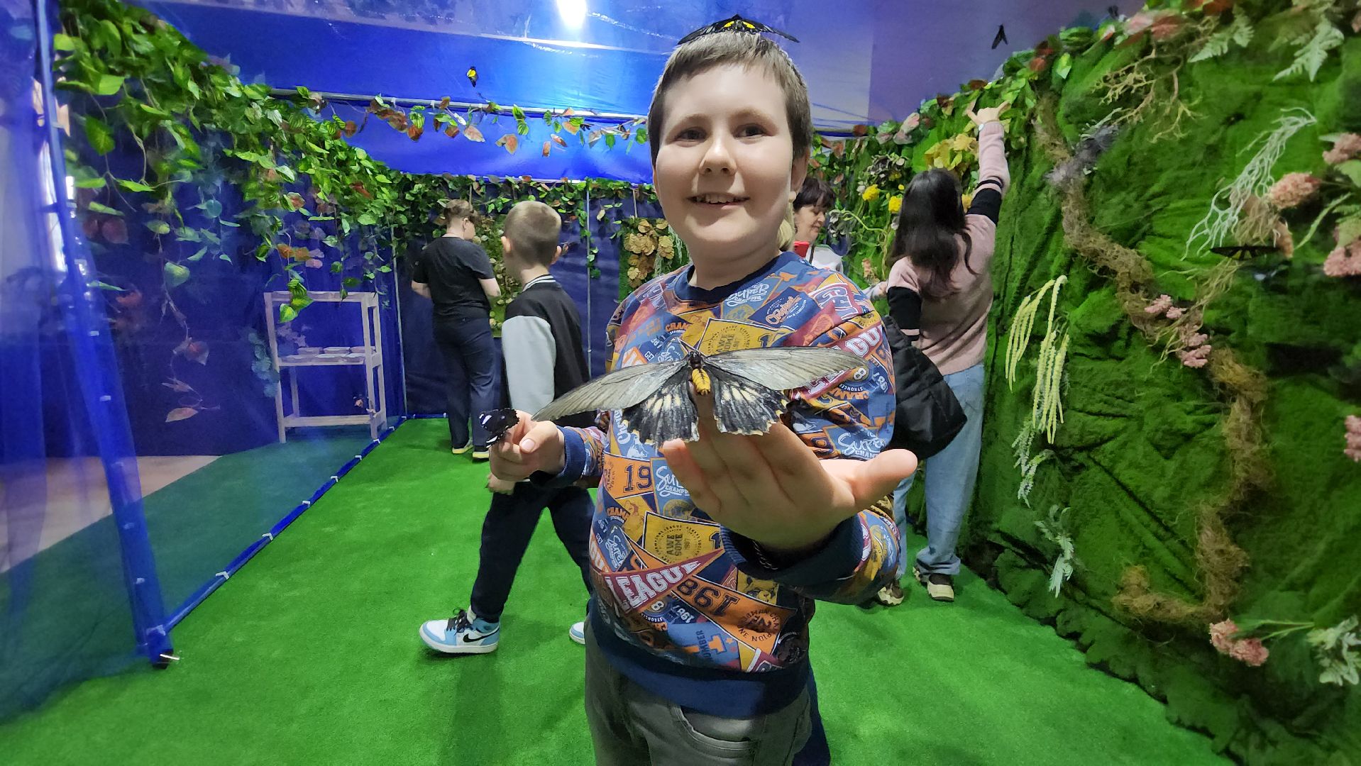 Бабочки, Выставка, лобня,