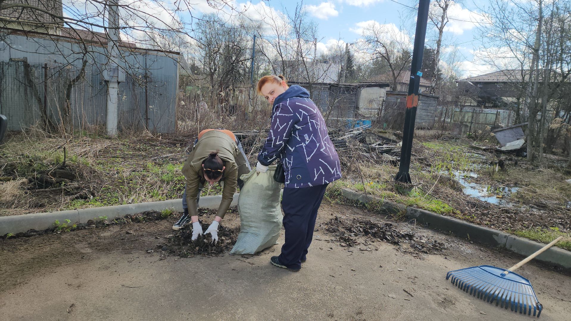 субботник, долгопрудный, уборка,