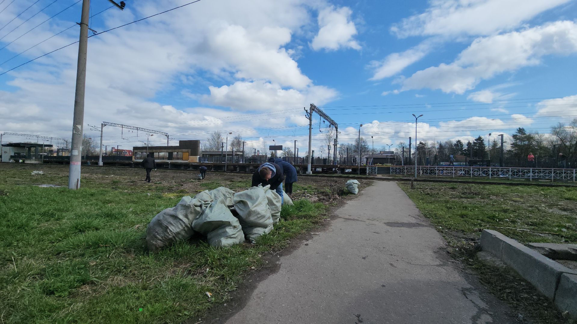 субботник, долгопрудный, уборка,