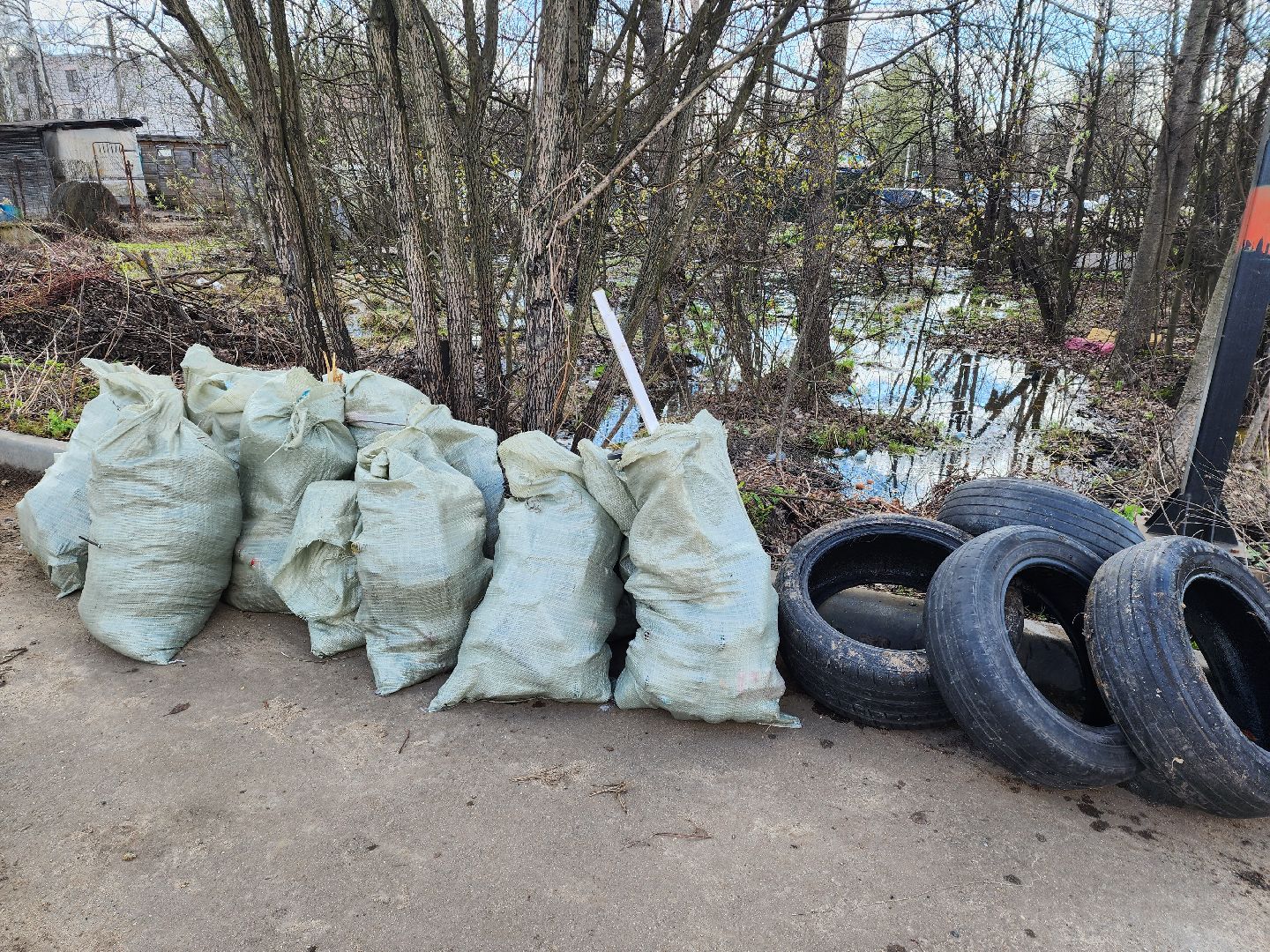 субботник, долгопрудный, уборка,