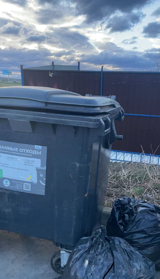 черноголовка,