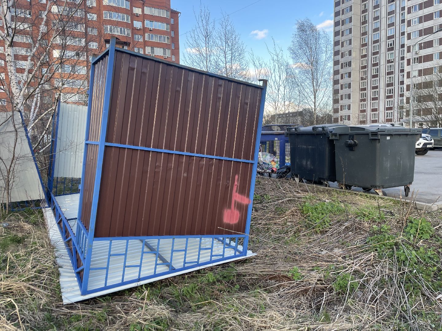 черноголовка,