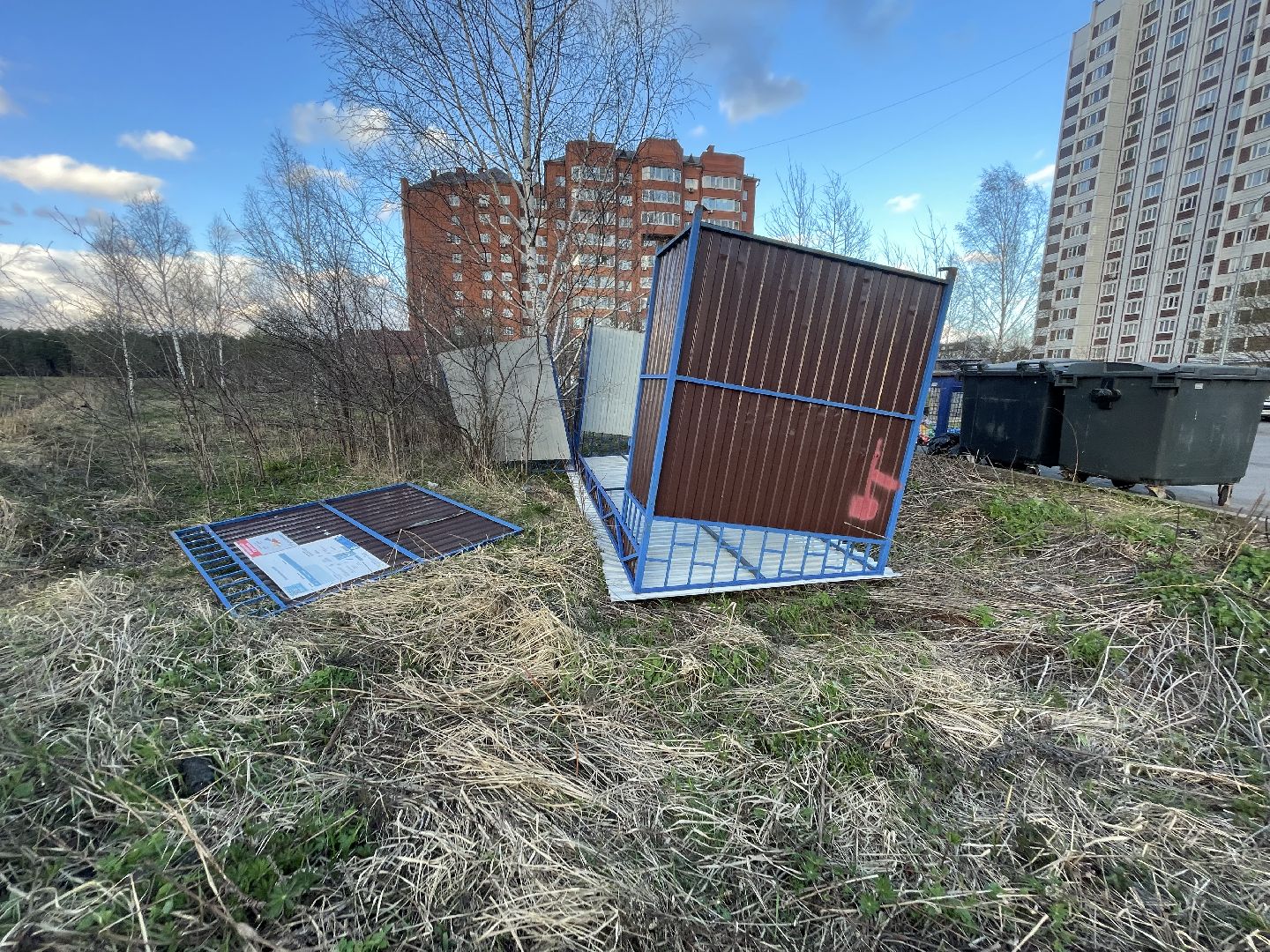 черноголовка,