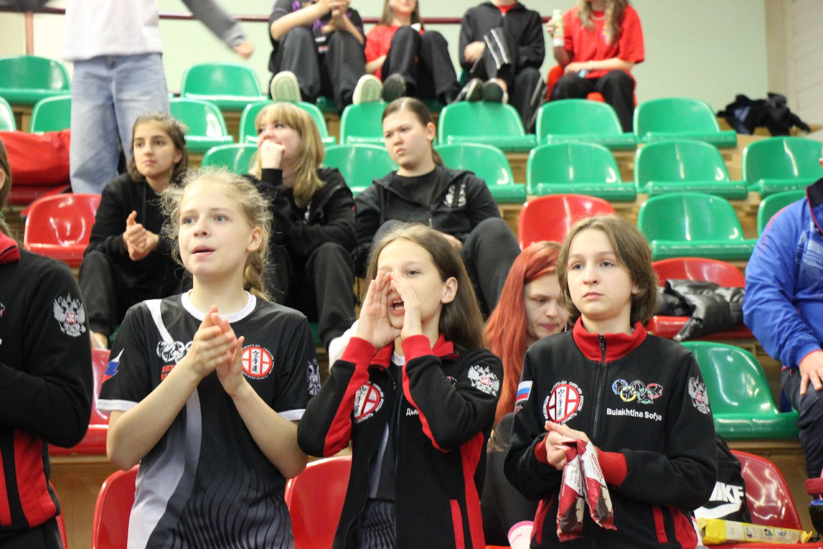 карате, лобня, спорт,