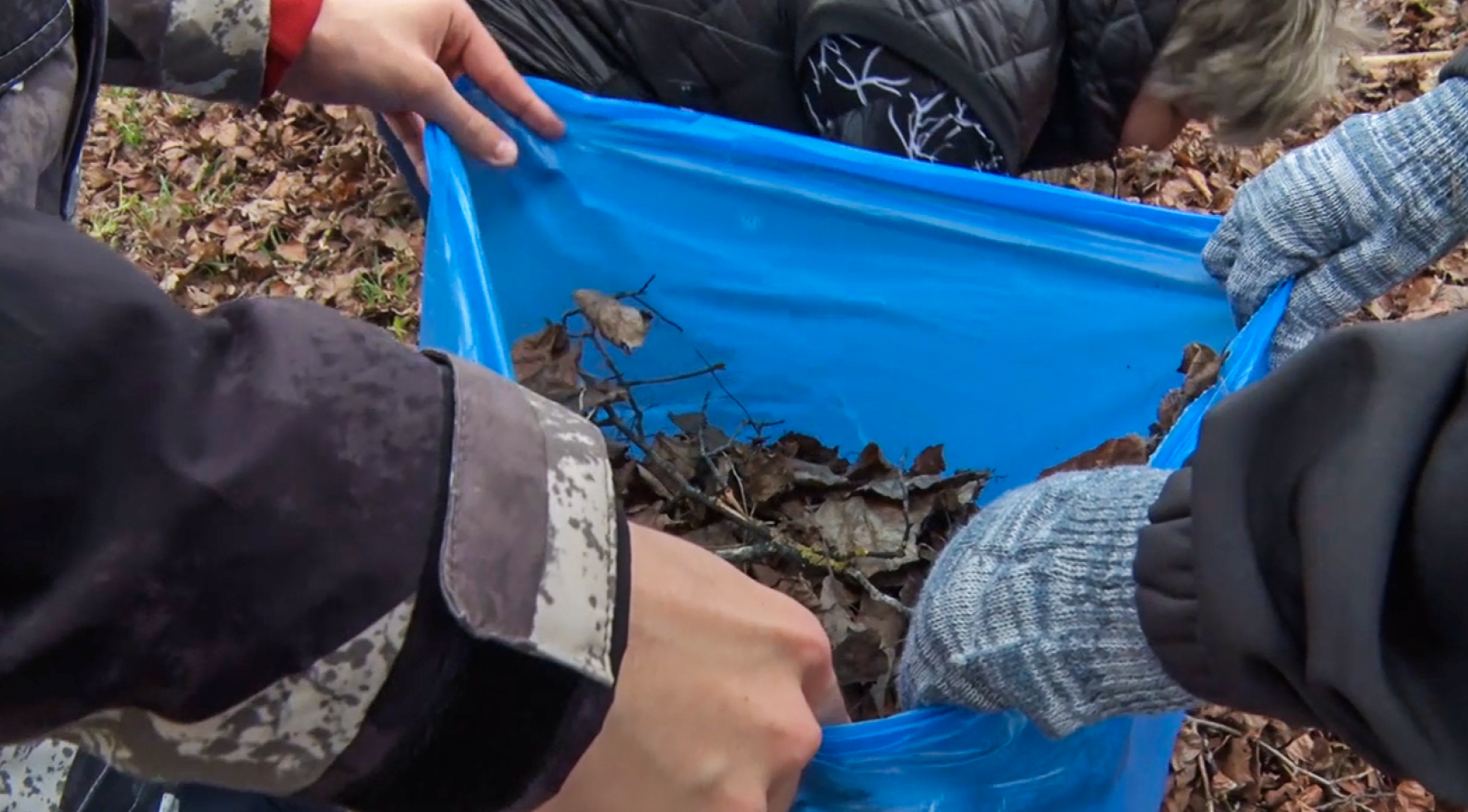 Клин, общество, субботники, благоустройство,