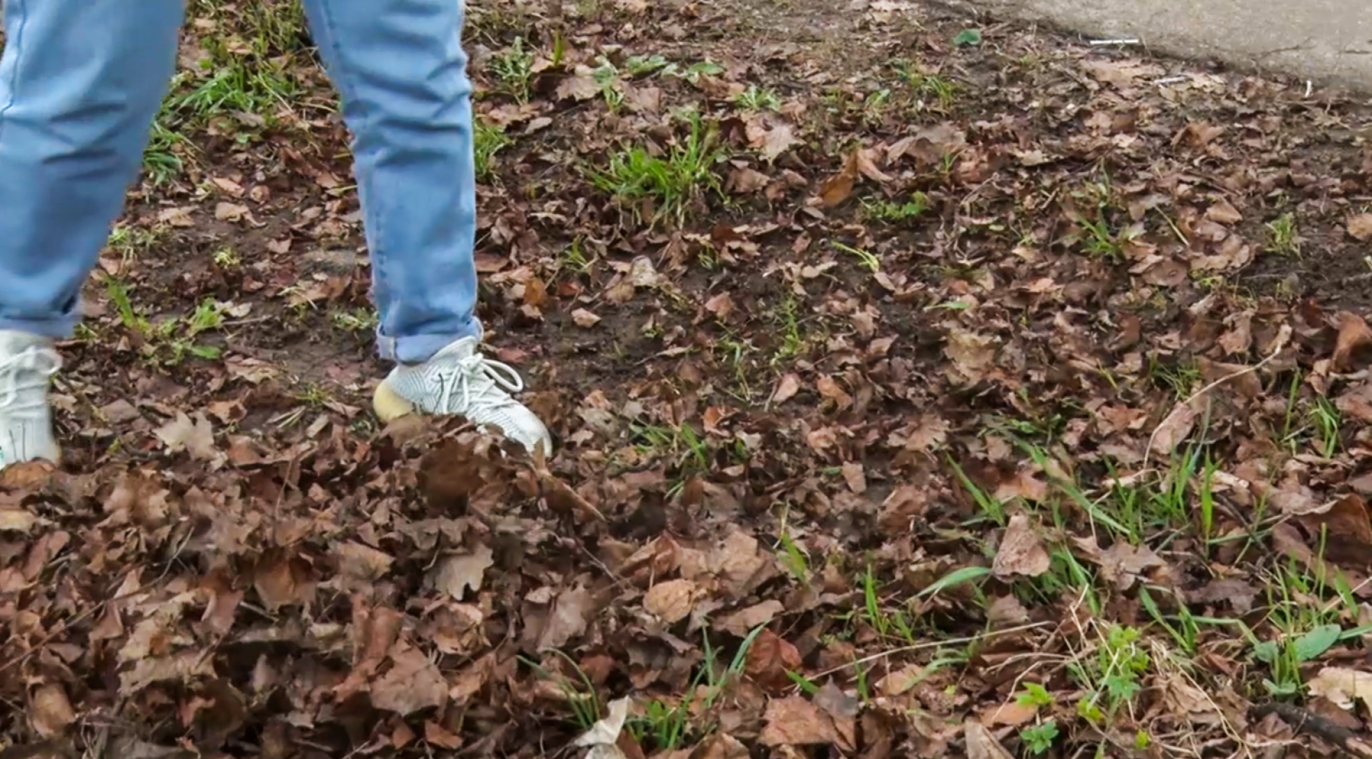 Клин, общество, субботники, благоустройство,