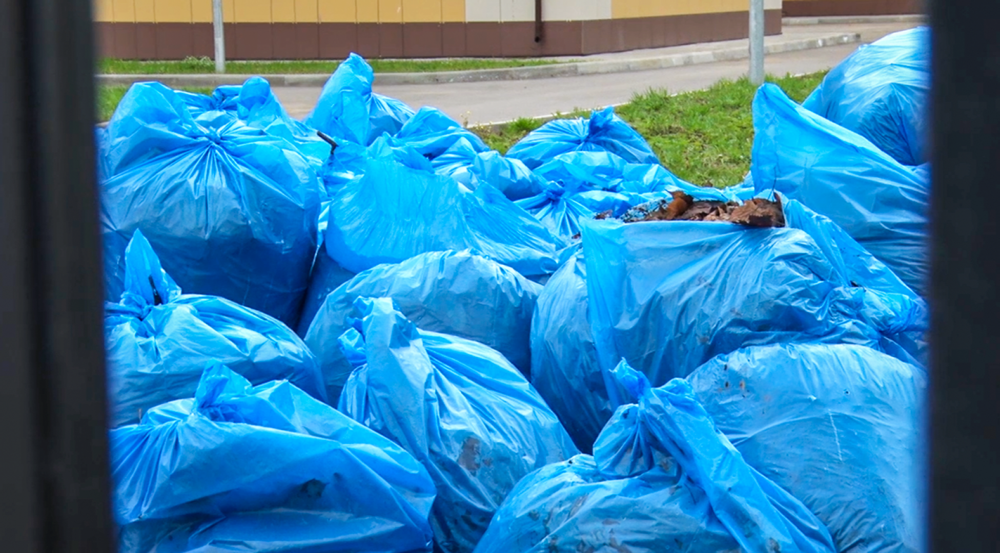 Клин, общество, субботники, благоустройство,