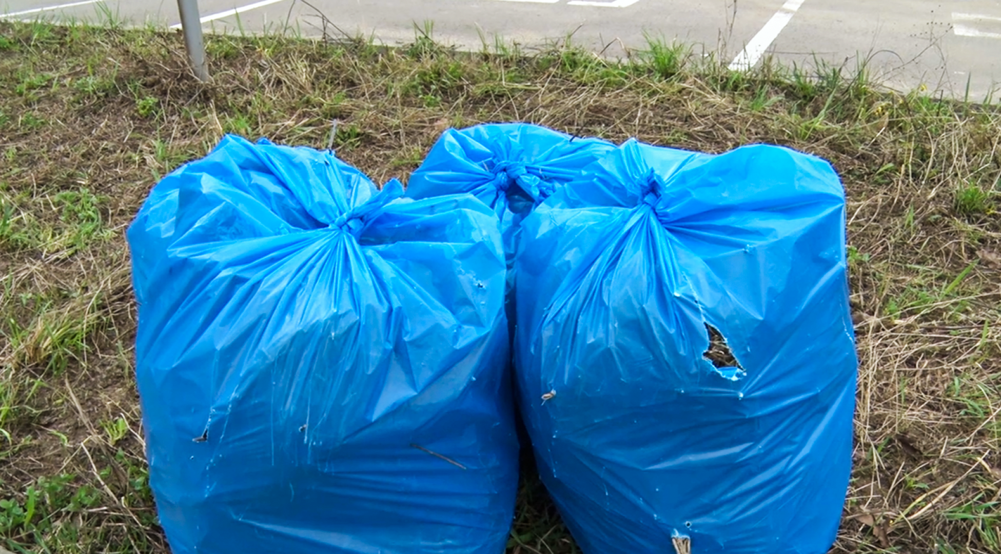 Клин, общество, субботники, благоустройство,