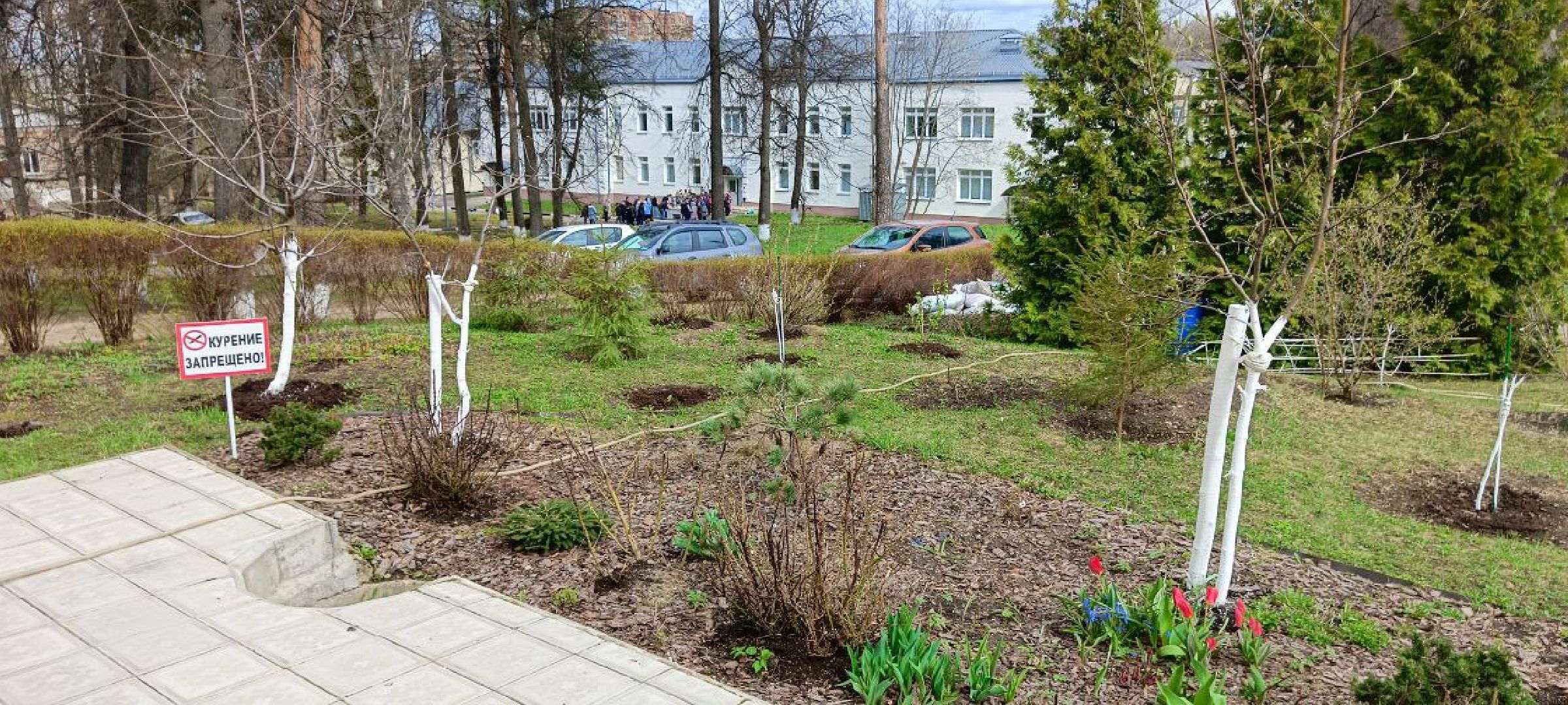 Дмитров, Субботник, Благоустройство,