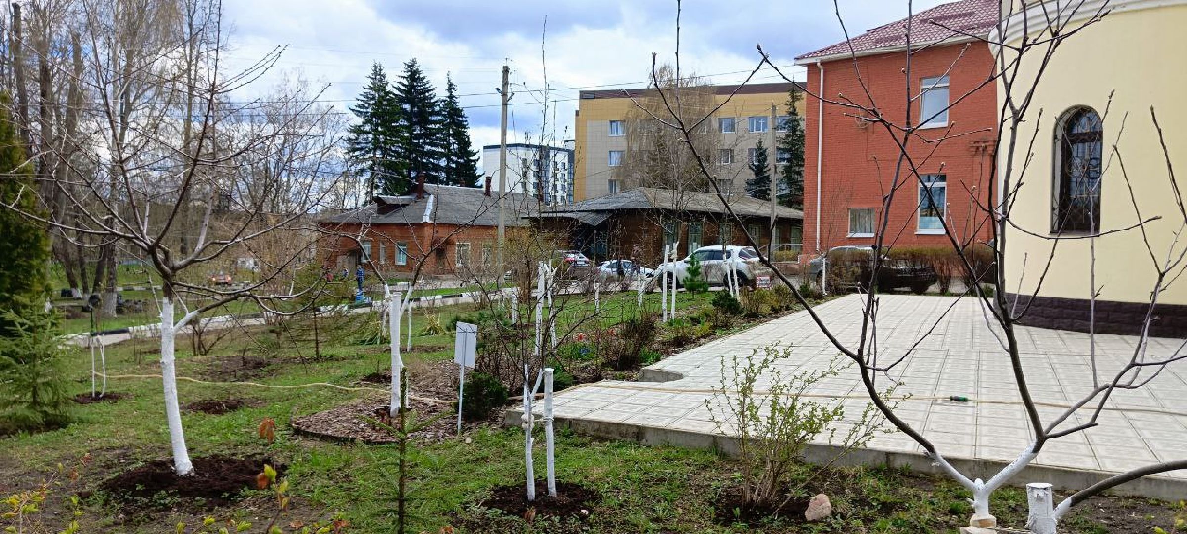 Дмитров, Субботник, Благоустройство,