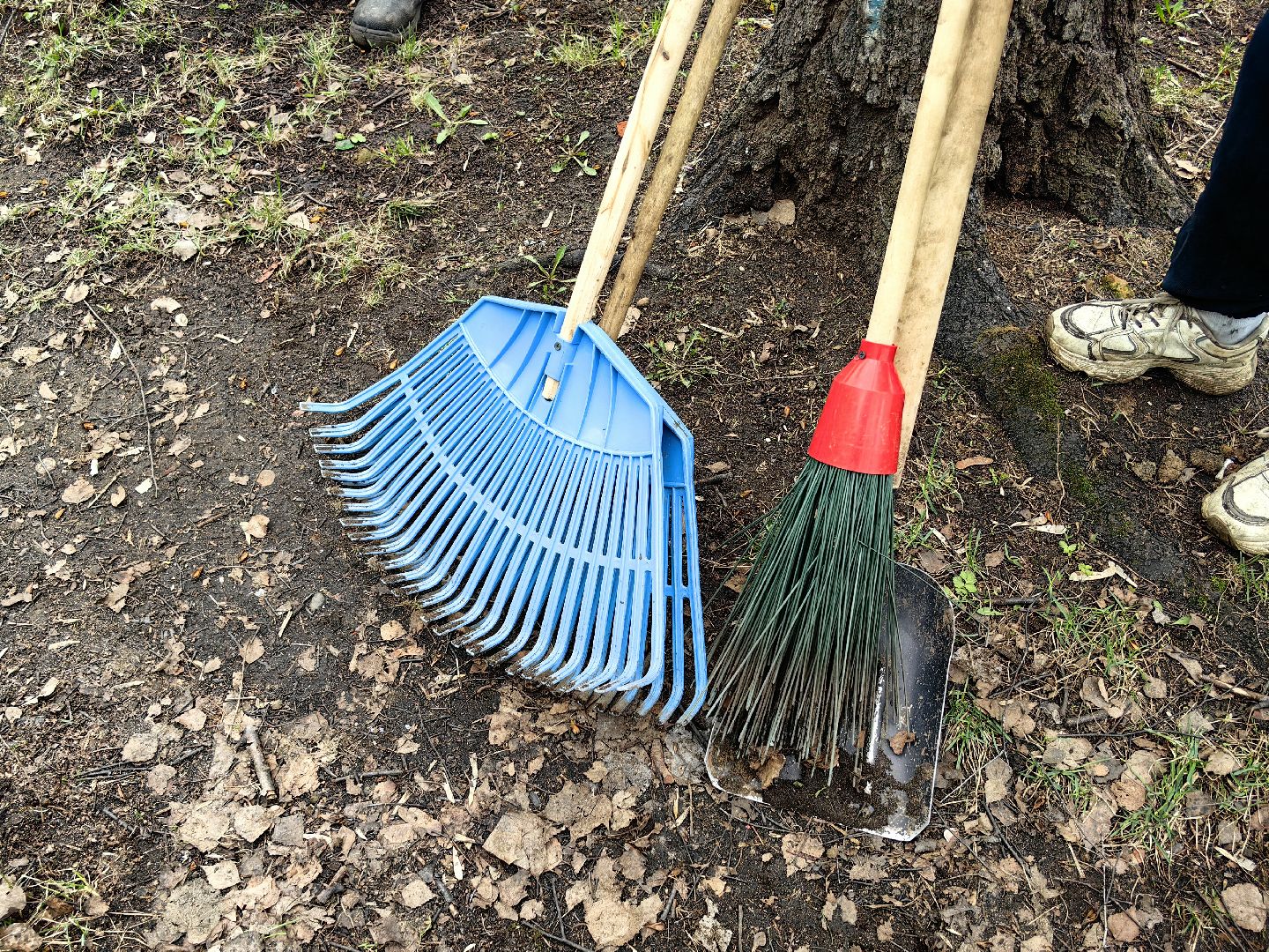 уборка дворов, служба благоустройства, листва, дороги, день труда московской области,