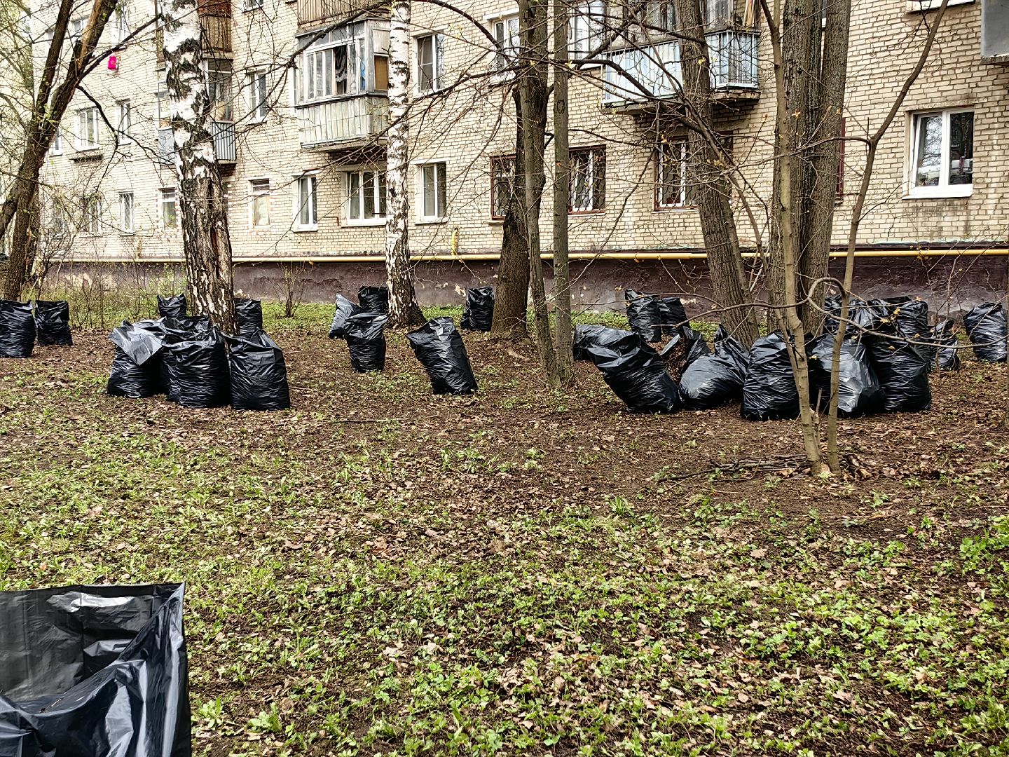 уборка дворов, служба благоустройства, листва, дороги, день труда московской области,