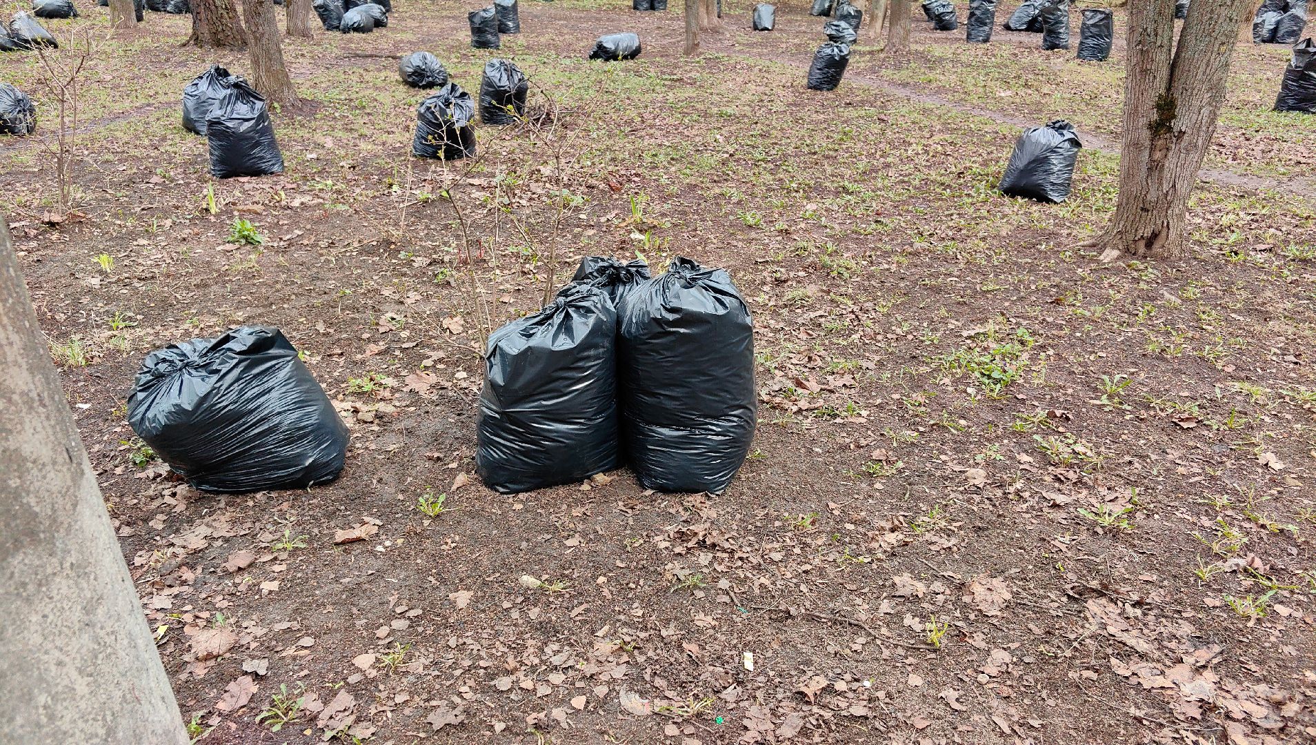 уборка дворов, служба благоустройства, листва, дороги, день труда московской области,