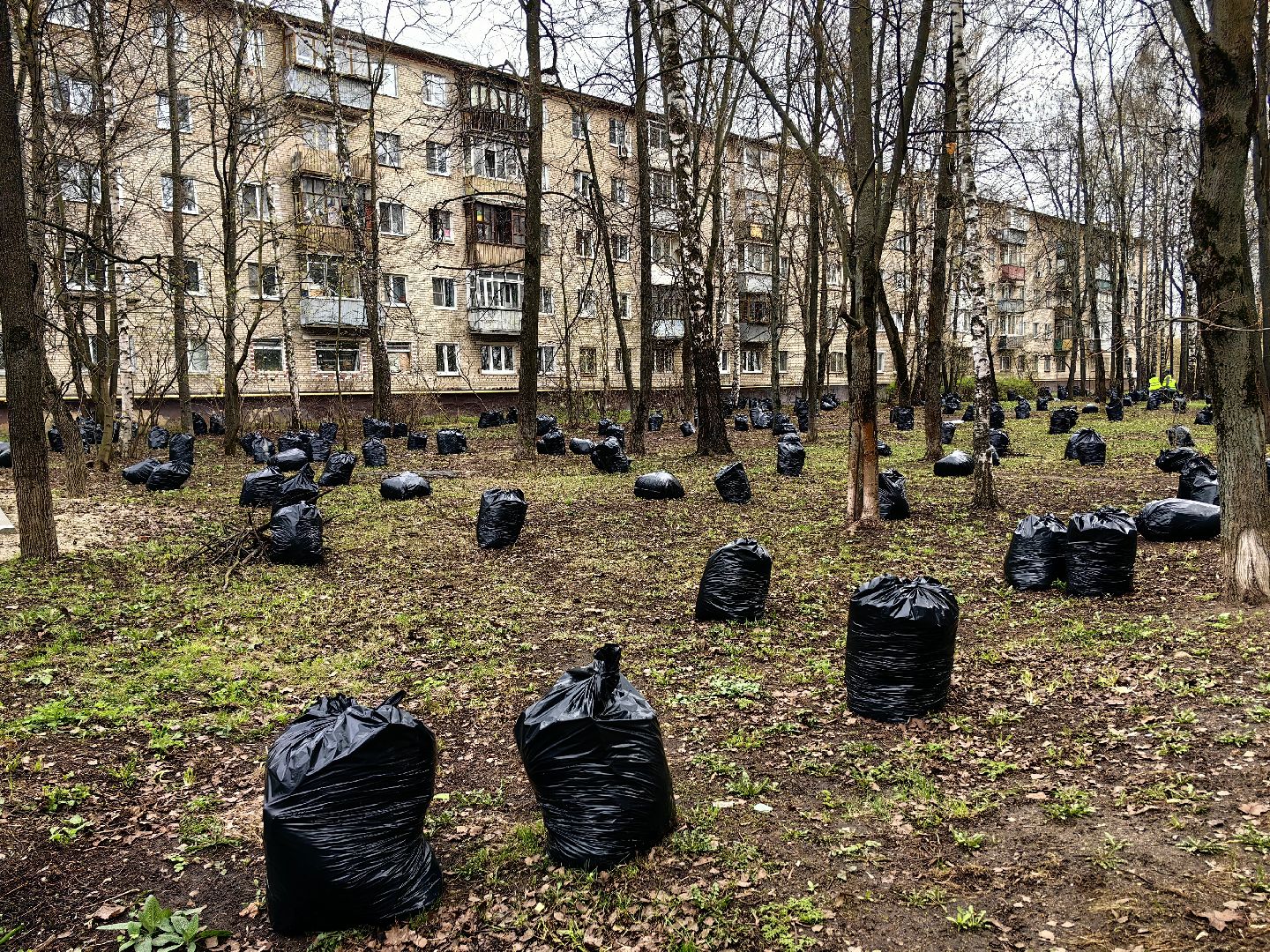 уборка дворов, служба благоустройства, листва, дороги, день труда московской области,