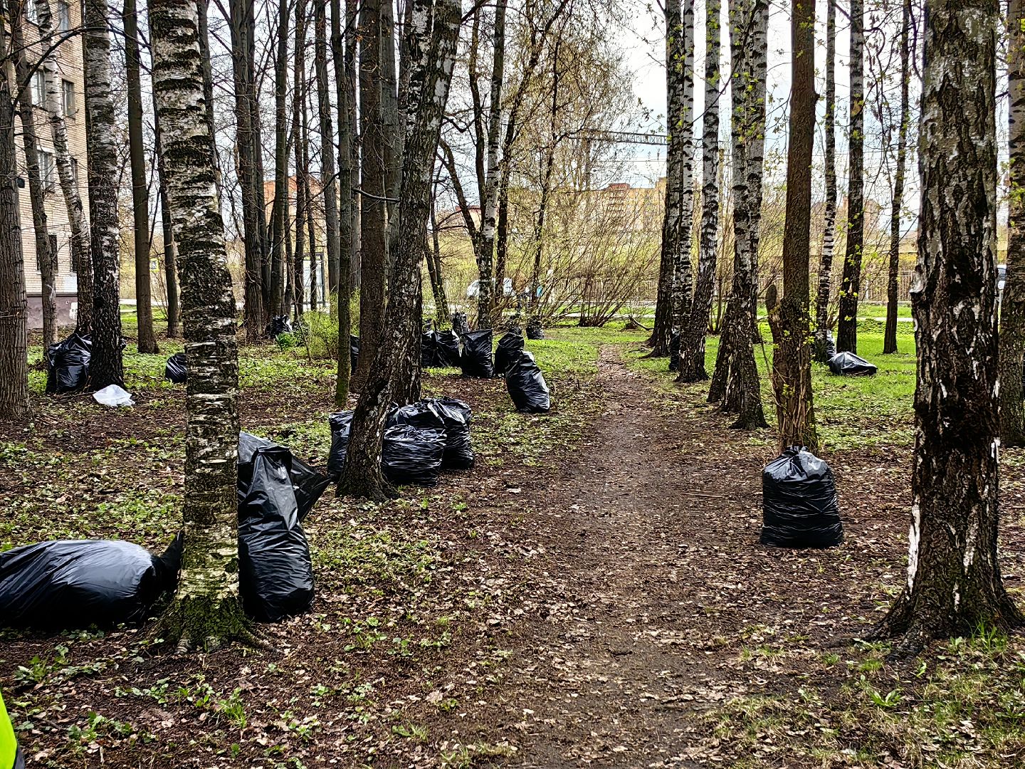 уборка дворов, служба благоустройства, листва, дороги, день труда московской области,